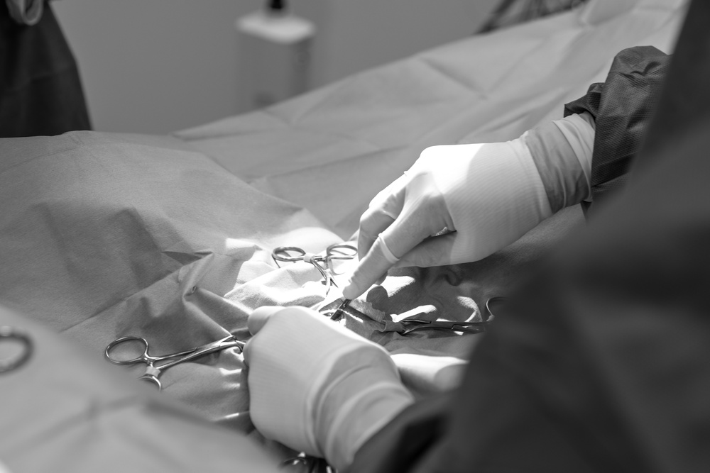 Gloved hands performing veterinary surgery with surgical instruments